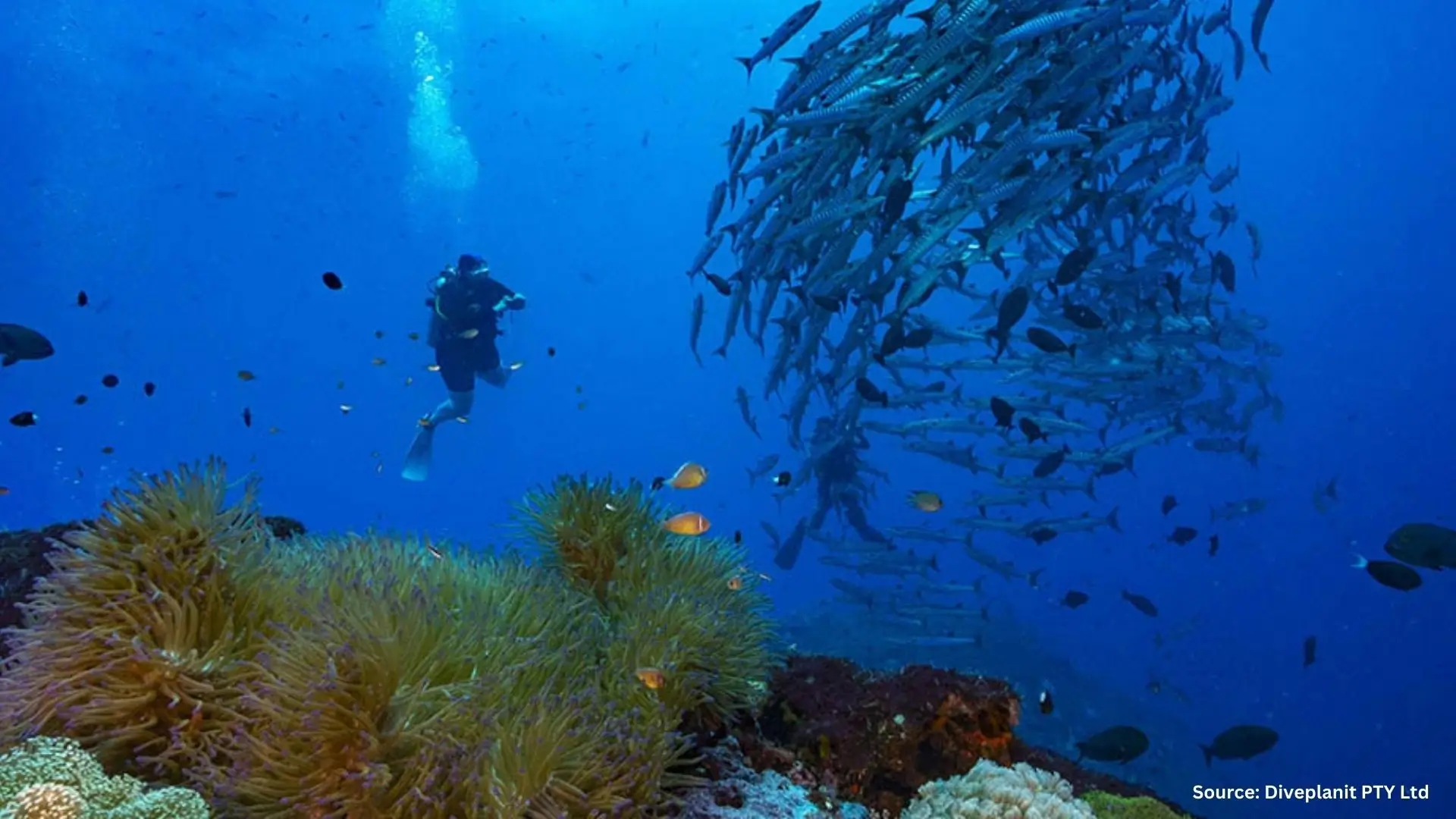 Comp Final Diveplanit Travel Pty Ltd