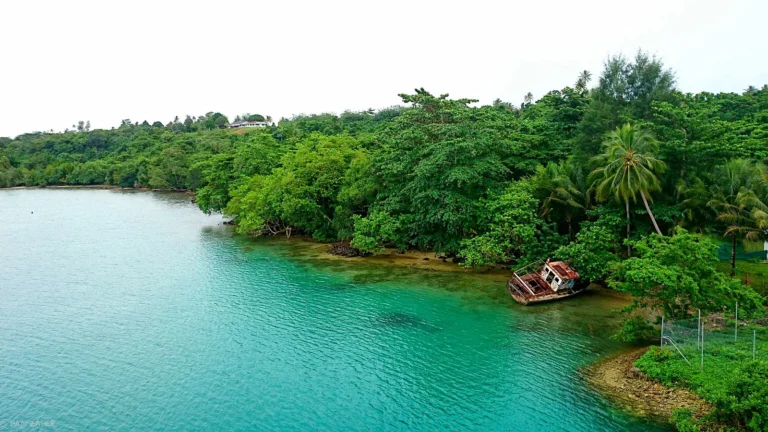 Comp Manus 4 converted