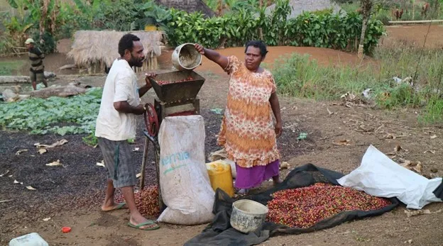 Comp Picture 1 converted