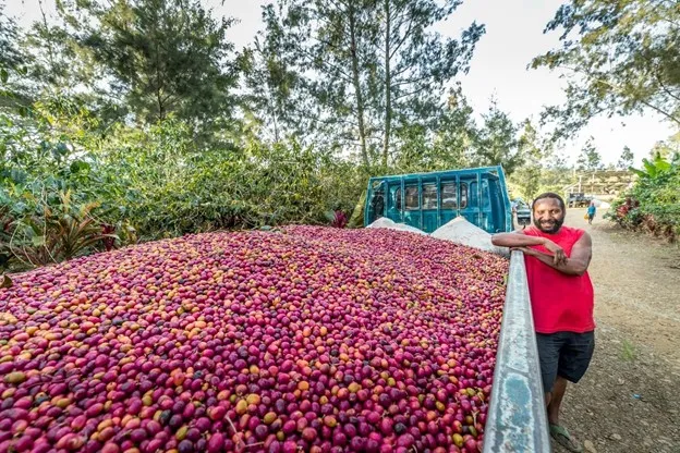 Comp Picture 2 converted