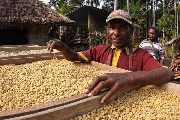 PNG roasted coffee beans. Source: ACIAR.
